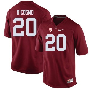 Men Aeneas DiCosmo Cardinal Stanford Cardinal College Football #20 Jersey 738860-908