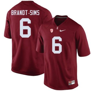 Men Isaiah Brandt-Sims Cardinal Stanford University College Football #6 Jersey 881721-760