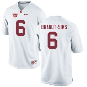 Men Isaiah Brandt-Sims White Stanford College Football #6 Jersey 479514-698