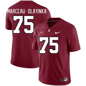 Men Braden Marceau-Olayinka Cardinal Stanford Cardinal 2024 ACC Conference College Football #75 Jersey 707571-513