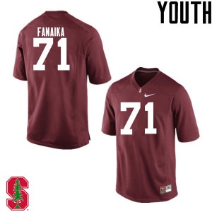 Youth Brandon Fanaika Cardinal Cardinal College Football #71 Jersey 504323-108