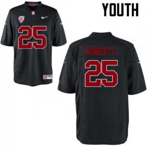 Youth Cameron Scarlett Black Cardinal College Football #25 Jersey 954126-556