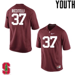Youth Collin Riccitelli Cardinal Cardinal College Football #37 Jersey 784432-808