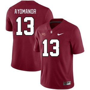 Men Elic Ayomanor Cardinal Stanford Cardinal 2024 ACC Conference College Football #13 Jersey 871947-503