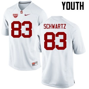 Youth Harry Schwartz White Cardinal College Football #83 Jersey 893300-273