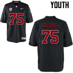 Youth Jordan Watkins Black Cardinal College Football #75 Jersey 265012-692