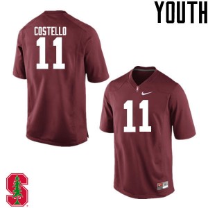 Youth K.J. Costello Cardinal Cardinal College Football #11 Jersey 161287-136