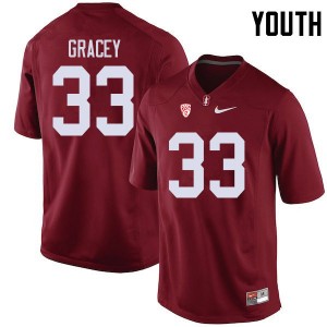 Youth Alex Gracey Cardinal Stanford Cardinal College Football #33 Jersey 397221-910