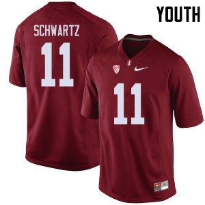 Youth Harry Schwartz Cardinal Cardinal College Football #11 Jersey 961813-484
