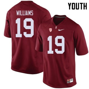 Youth Noah Williams Cardinal Cardinal College Football #19 Jersey 622048-489