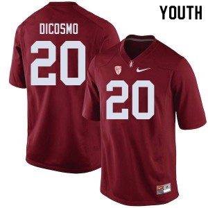 Youth Aeneas DiCosmo Cardinal Stanford College Football #20 Jersey 360213-750