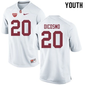 Youth Aeneas DiCosmo White Cardinal College Football #20 Jersey 623691-861