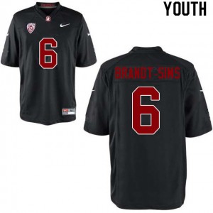 Youth Isaiah Brandt-Sims Black Stanford University College Football #6 Jersey 426994-952