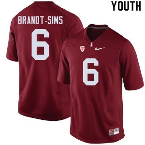 Youth Isaiah Brandt-Sims Cardinal Cardinal College Football #6 Jersey 786274-930