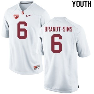Youth Isaiah Brandt-Sims White Stanford Cardinal College Football #6 Jersey 598017-208