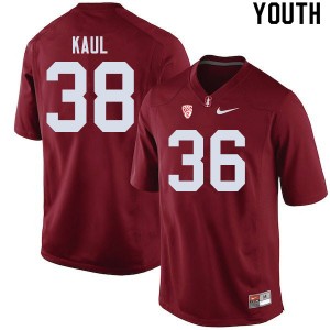 Youth Jason Kaul Cardinal Stanford Cardinal College Football #38 Jersey 803255-404
