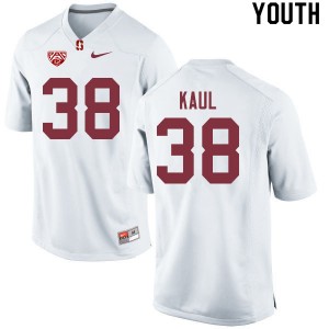 Youth Jason Kaul White Cardinal College Football #38 Jersey 876093-338