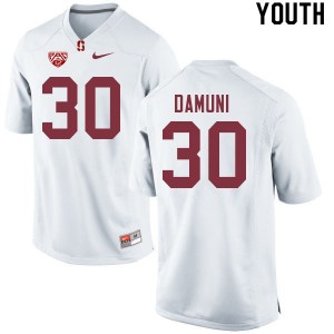 Youth Levani Damuni White Cardinal College Football #30 Jersey 246355-584