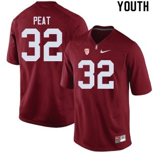 Youth Nathaniel Peat Cardinal Cardinal College Football #32 Jersey 331518-963