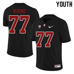 Youth Logan Berzins Black Stanford University College Football #77 Jersey 826168-690