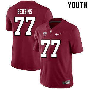 Youth Logan Berzins Cardinal Stanford College Football #77 Jersey 372850-651