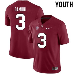 Youth Levani Damuni Cardinal Cardinal College Football #3 Jersey 941587-979