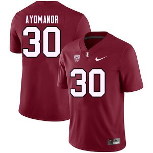 Youth Elic Ayomanor Cardinal Stanford Cardinal College 2023 Football #30 Jersey 128754-696