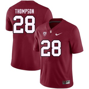 Youth Joshua Thompson Cardinal Cardinal College 2023 Football #28 Jersey 462075-619