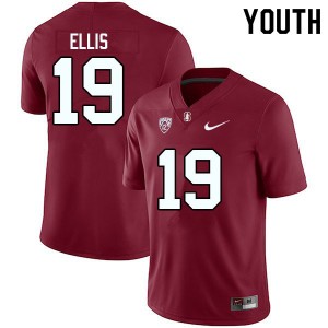Youth Caleb Ellis Cardinal Cardinal College Football #19 Jersey 323979-657