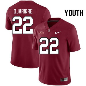 Youth Che Ojarikre Cardinal Cardinal 2024 ACC Conference College Football #22 Jersey 445119-738