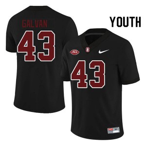 Youth Jahsiah Galvan Black Cardinal 2024 ACC Conference College Football #43 Jersey 101097-463