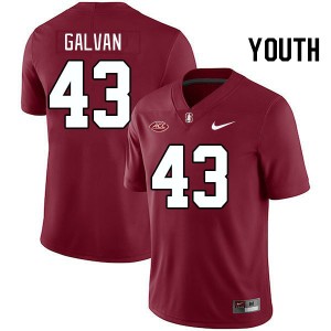 Youth Jahsiah Galvan Cardinal Stanford 2024 ACC Conference College Football #43 Jersey 771692-445