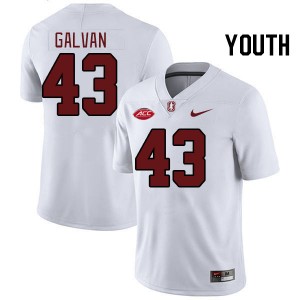 Youth Jahsiah Galvan White Stanford University 2024 ACC Conference College Football #43 Jersey 330665-391