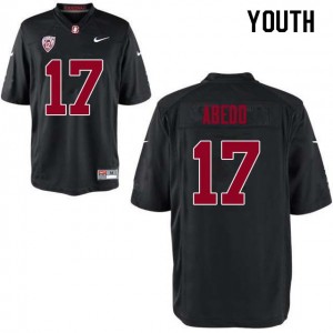 Youth Paulson Abedo Black Stanford College Football #17 Jersey 161958-348