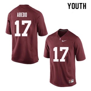 Youth Paulson Abedo Red Stanford University College Football #17 Jersey 378736-545
